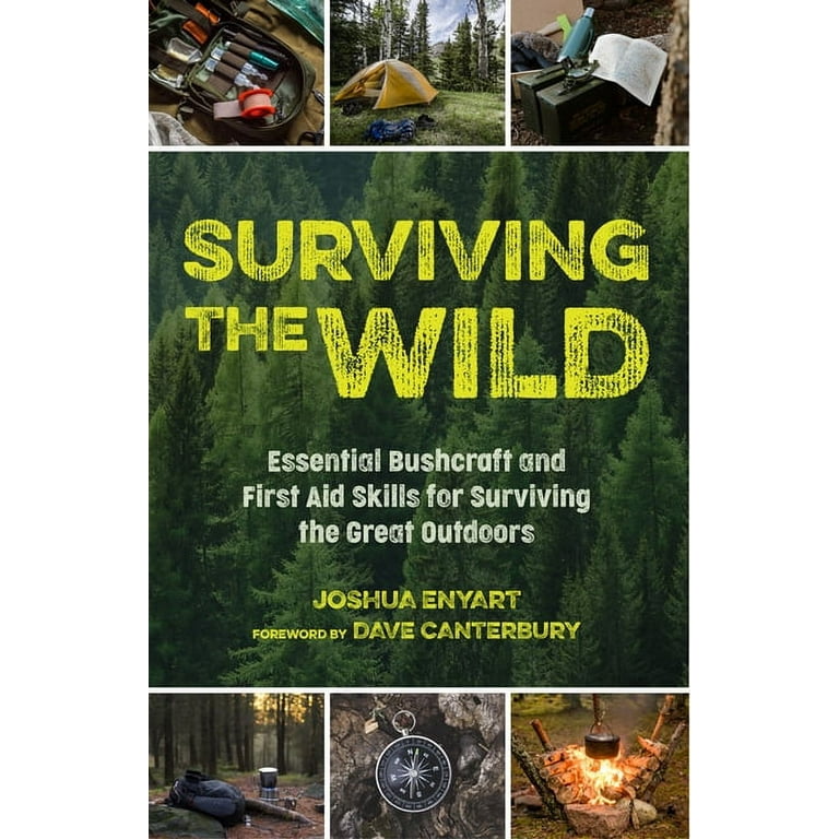 Surviving the Wild: Essential Bushcraft and First Aid Skills for Surviving  the Great Outdoors (Wilderness Survival) (Paperback)