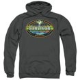 thumbnail image 1 of Survivor-Heroes Vs Villains - Adult Pull-Over Hoodie - Charcoal- Small, 1 of 1