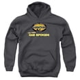 thumbnail image 1 of Survivor-Tribe Has Spoken - Youth Pull-Over Hoodie - Charcoal- Medium, 1 of 1