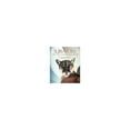 thumbnail image 1 of Pre-Owned Survivors A New Vision Of Endangered Wildlife (Hardcover) 0810939088 9780810939080, 1 of 1