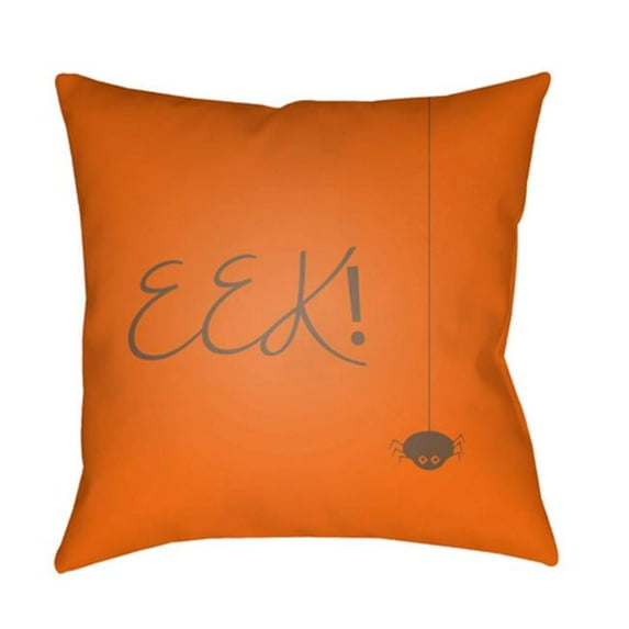 Surya 18 x 18 x 4 in. Boo Square Throw Pillow - Orange - Medium