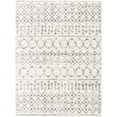 thumbnail image 1 of Surya Aliyah Shag ALH-2302 24 x 36" Rectangle Fabric Rug in Cream/Gray, 1 of 6