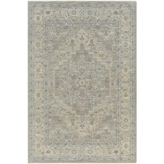 Avant Garde Machine Woven Traditional Rugs in Light Gray