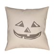 thumbnail image 1 of Surya  20 x 20 x 4 in. Boo Square Throw Pillow - Beige - Medium, 1 of 2