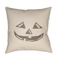 thumbnail image 1 of Surya  18 x 18 x 4 in. Boo Square Throw Pillow - Beige, 1 of 2