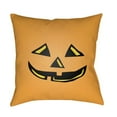 thumbnail image 1 of Surya  18 x 18 x 4 in. Boo Square Throw Pillow - Orange - Medium, 1 of 2