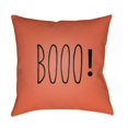 thumbnail image 1 of Surya  20 x 20 x 4 in. Boo Square Throw Pillow - Orange - Medium, 1 of 2