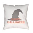 thumbnail image 1 of Surya  20 x 20 x 4 in. Boo Square Throw Pillow - White, 1 of 2