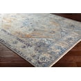 thumbnail image 1 of Traditional CPP5027-23 Door Mat Rug Rectangle 2' x 3', 1 of 4
