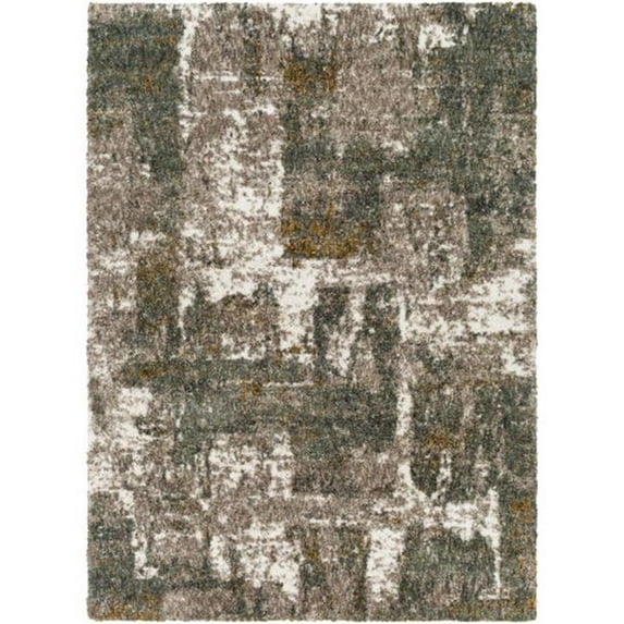 Surya Celestial Shag CSG-2306 94 x 94" Rectangle Fabric Rug in Brown/Sage/Cream