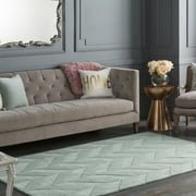 Surya Central Park Chevron Area Rug