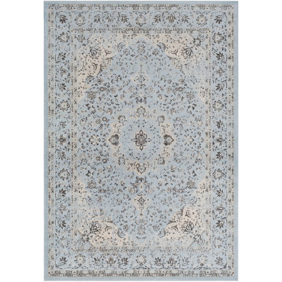 Updated Traditional CSA2303-23 Door Mat Rug Rectangle 2' x 3'