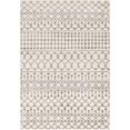 thumbnail image 1 of Surya Chester CHE-2319 31 x 144" Runner Fabric Rug in Beige/Charcoal/Gray, 1 of 8