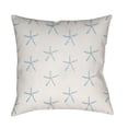 thumbnail image 1 of Surya  Coastal Square Throw Pillow - Blue & Neutral - 18 x 18 x 4 in., 1 of 2
