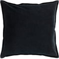 thumbnail image 1 of Solid Border CV012-2222D Square 22" x 22" Pillow Cover + Down Insert, 1 of 3