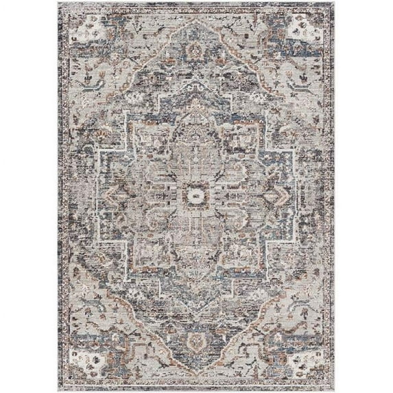 Surya Daytona Beach DYT-2312 79 x 108" Rectangle Fabric Rug in Gray/Blue/Brown
