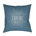 thumbnail image 1 of Surya  Explore II Square Throw Pillow - Blue & White - 20 x 20 x 4 in., 1 of 2