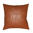 thumbnail image 1 of Surya  Explore II 18 x 18 x 4 in. Throw Pillow - Brown - Medium, 1 of 2