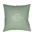 thumbnail image 1 of Surya Fall 20" x 20" Medium Square Throw Pillow FALL004-2020, 1 of 2