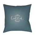 thumbnail image 1 of Gratitude 20 x 20 x 4 Throw Pillow, 1 of 2