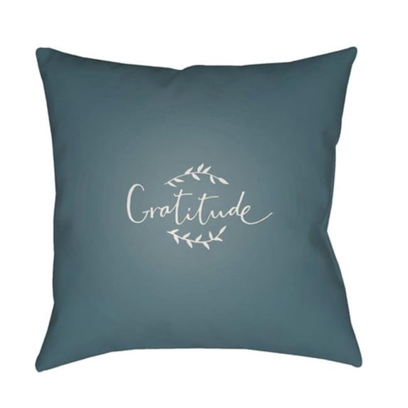 Gratitude 20 x 20 x 4 Throw Pillow