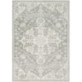 thumbnail image 1 of Surya  Harput Rectangle Machine Made Updated Traditional Area Rug - Multi Color, 1 of 2