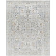 thumbnail image 1 of Surya Hassler Polyester 7'10" x 10'3" Area Rugs HSL2306-710103, 1 of 1