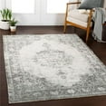 thumbnail image 1 of Surya KLM2311-2773 2 ft. 7 in. x 7 ft. 3 in. Kilim Machine Woven Rug - 50 Percent Chenille-Polyester, 50 Percent Cotton, 1 of 7