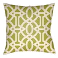 thumbnail image 1 of Indoor Outdoor LTCH1121-2020 Square 20" x 20" Pillow Cover + Polyfill, 1 of 1