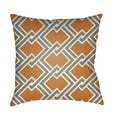 thumbnail image 1 of Indoor Outdoor LTCH1107-1818 Square 18" x 18" Pillow Cover + Polyfill, 1 of 7