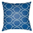 thumbnail image 1 of Indoor Outdoor LTCH1348-1818 Square 18" x 18" Pillow Cover + Polyfill, 1 of 1