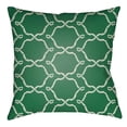 thumbnail image 1 of Indoor Outdoor LTCH1346-2222 Square 22" x 22" Pillow Cover + Polyfill, 1 of 7