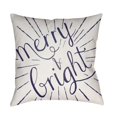 thumbnail image 1 of Surya  Merry & Bright Square Throw Pillow - Blue & White - 18 x 18 x 4 in., 1 of 2