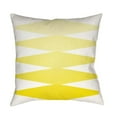 thumbnail image 1 of Surya Moderne 20" x 20" Medium Square Throw Pillow MD011-2020, 1 of 7
