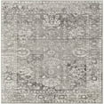 thumbnail image 1 of Surya Monte Carlo collection MNC-2311 Light Gray, Charcoal Rug, 1 of 7