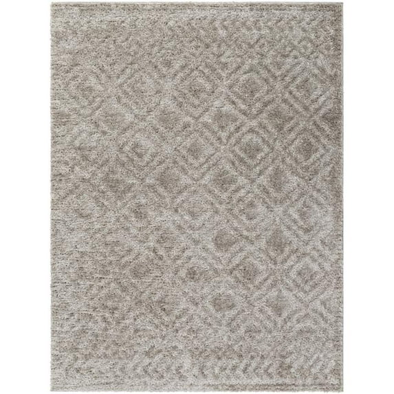 Surya Nomadic Polyester 6'7" X 9' Rectangle Area Rugs NMC2303-679