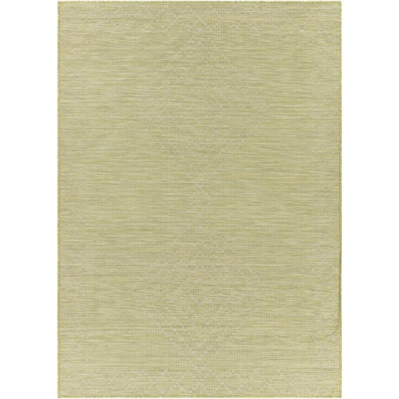 Pasadena Machine Woven Area Rug - Grass Green - 2'6" x 4'