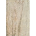 thumbnail image 1 of Surya Pisces PIS-1000 Area Rug 5' x 7'6", 1 of 2