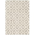 thumbnail image 1 of Surya Shag Serengeti Shag 2' X 3' Rectangle Area Rugs SGT2302-23, 1 of 5