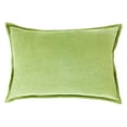 thumbnail image 1 of Surya Smooth Velvet Throw Pillow, 1 of 2