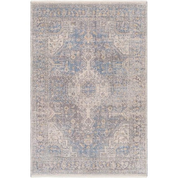 Subtle Machine Woven Traditional Rugs in Gray,Blue