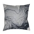 thumbnail image 1 of Surya Textures 18" x 18" Medium Square Throw Pillow TX063-1818, 1 of 1