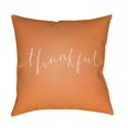thumbnail image 1 of Surya  Thankful Medium Throw Pillow - Orange & White - 18 x 18 x 4 in., 1 of 2