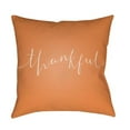 thumbnail image 1 of Surya  Thankful Square Throw Pillow - Orange & White - 20 x 20 x 4 in., 1 of 2