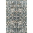 thumbnail image 1 of Surya Traditional Cardiff Polyester 2'7" x 4' Area Rugs CDF2309-274, 1 of 3