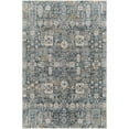 thumbnail image 1 of Surya Traditional Cardiff Polyester 9' x 12'2" Area Rugs CDF2309-9122, 1 of 3