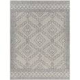 thumbnail image 1 of Surya Tuareg 63x84" Modern Polypropylene Rug in Blue/Gray/Taupe, 1 of 3