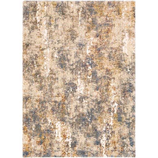 Modern TUS2303-4357 Area Rug 4'3