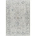 thumbnail image 1 of Surya Virginia VGN-2301 63 x 91" Rectangle Traditional Fabric Rug in Gray/Taupe, 1 of 7