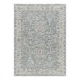 thumbnail image 1 of Surya Virginia VGN-2303 79 x 114" Rectangle Fabric Rug in Pale Blue/Sage/Olive, 1 of 7